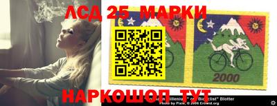 apvp Кингисепп