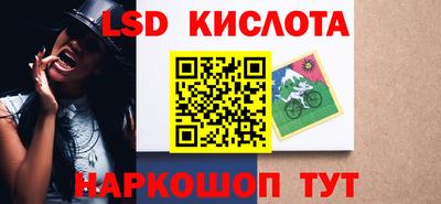 apvp Кингисепп