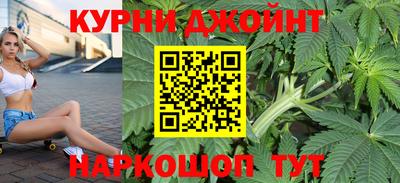 apvp Кингисепп