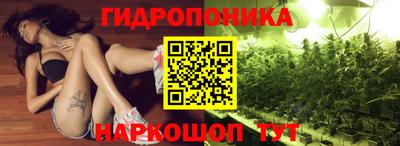 apvp Кингисепп