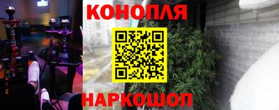 apvp Кингисепп