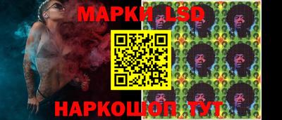 apvp Кингисепп