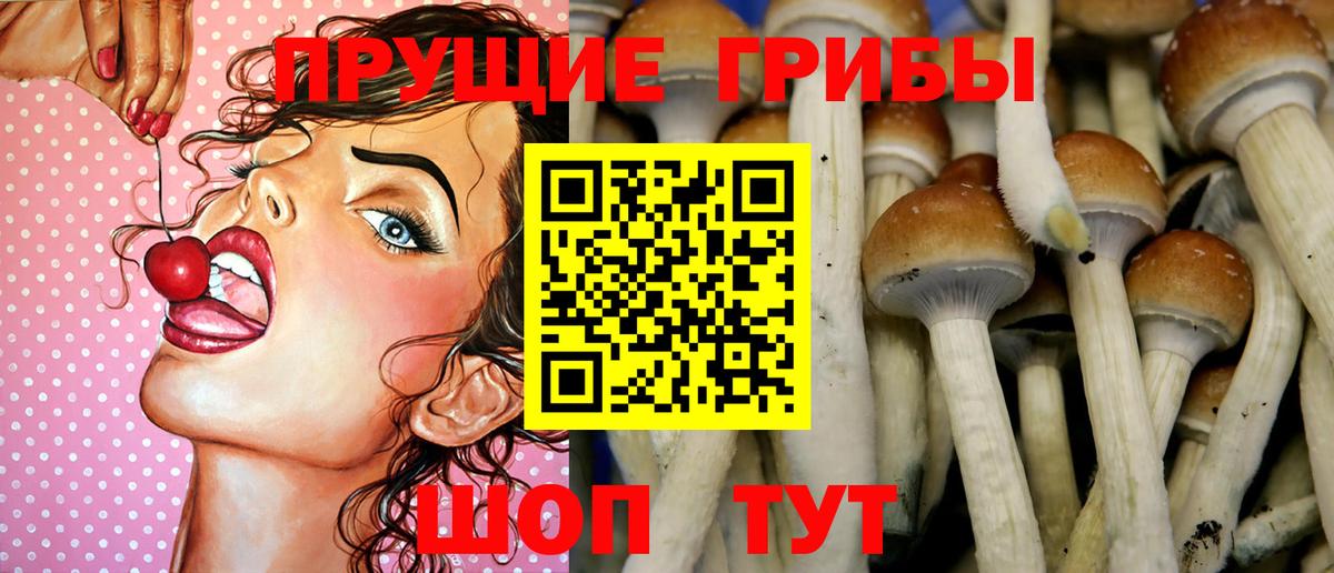 Галлюциногенные грибы мухоморы  Галлюциногенные грибы MAGIC MUSHROOMS  купить   Янаул  Вход с VPN 
