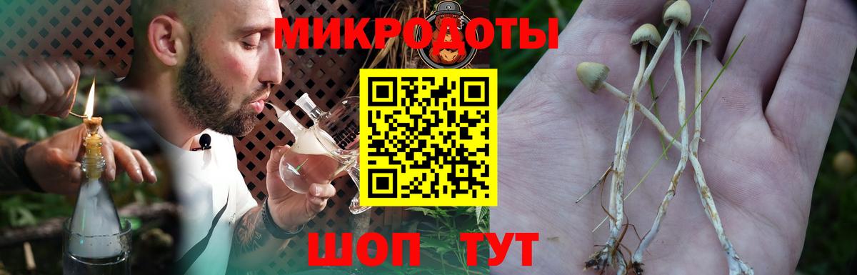 Галлюциногенные грибы Psilocybe Янаул